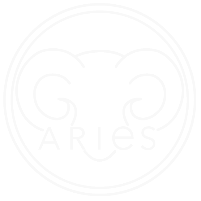 project design-logo-white